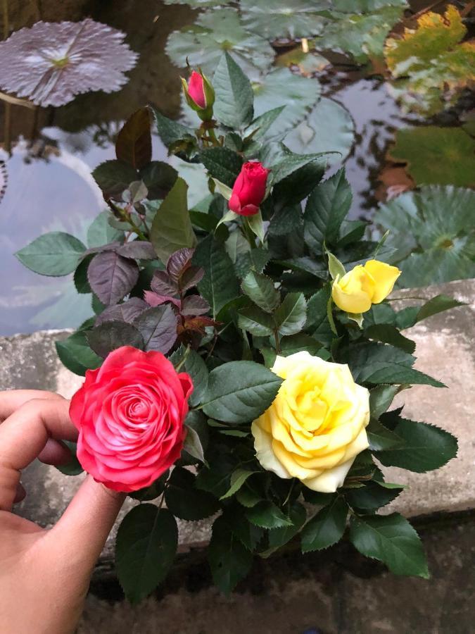 Son Thuy Homestay Ха Жианг Екстериор снимка